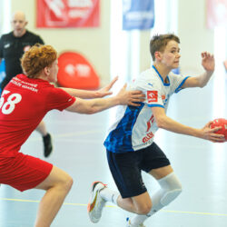 20260411-1-8-MP-JM-D2-1000px-068