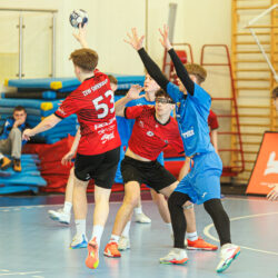 20260412-1-8-MP-JM-D3-1000px-040